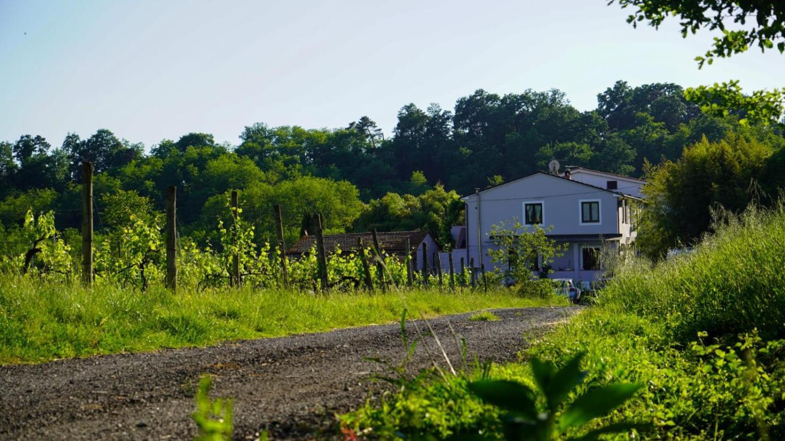 לינה וארוחת בוקר קאפאנורי Wine House מראה חיצוני תמונה